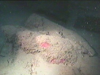 Proyectiles de medio calibre del Col&oacute;n