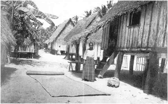 Image Caption