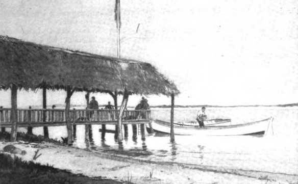 Image Caption