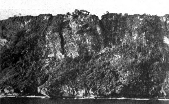 Image Caption