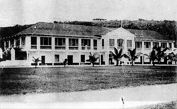 Image Caption