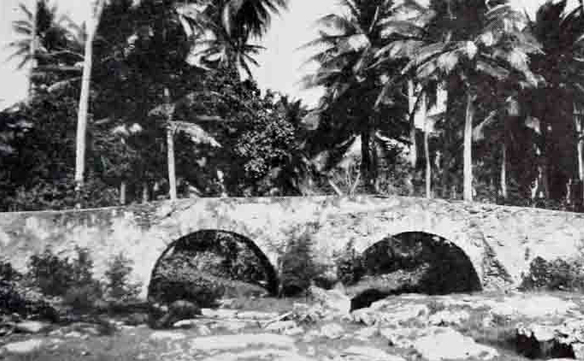 Image Caption
