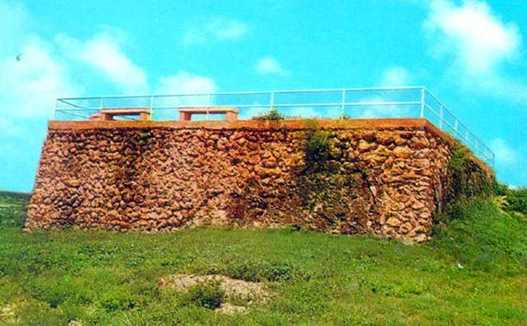Image Caption