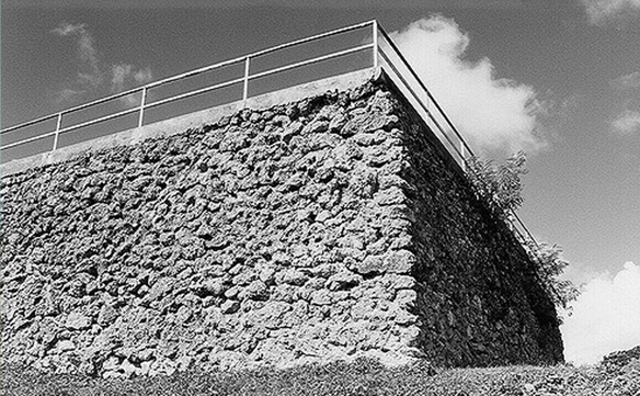 Image Caption