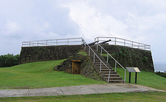 Image Caption