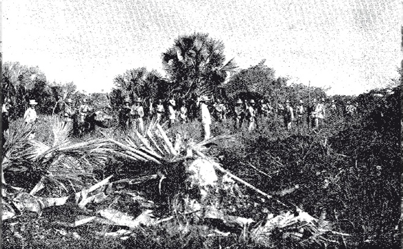 Image Caption