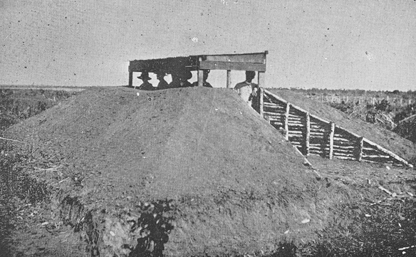 Image Caption