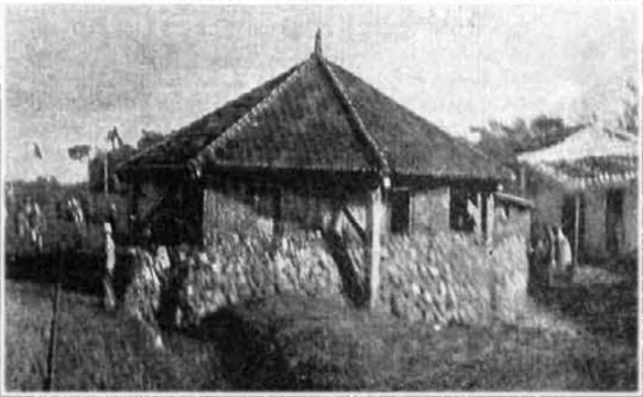 Image Caption