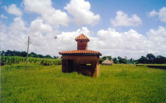 Image Caption